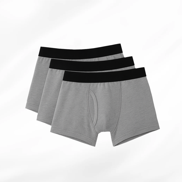 Brad Signature Leakproof Boxers (3-Pack)